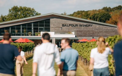 Experience Opulence: Elevate Your Corporate Hospitality with Exclusive Wine Experiences in Kent Vineyards