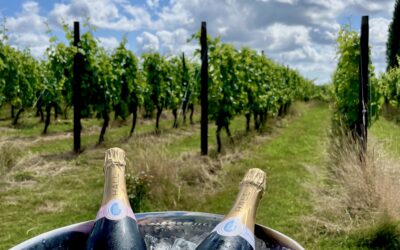 English Wine for Corporate Events: Why Context Matters More Than Ever