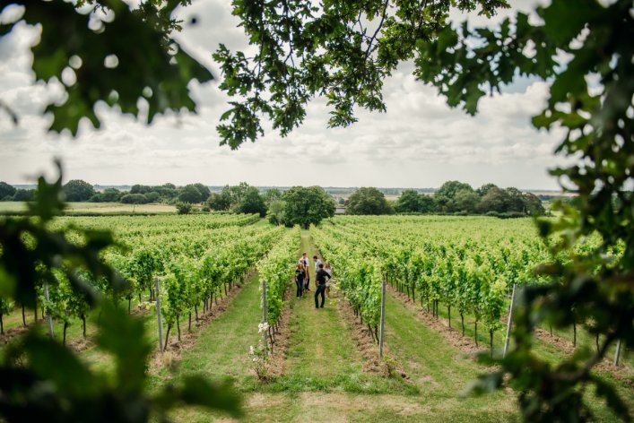 Gusbourne Tour 01
