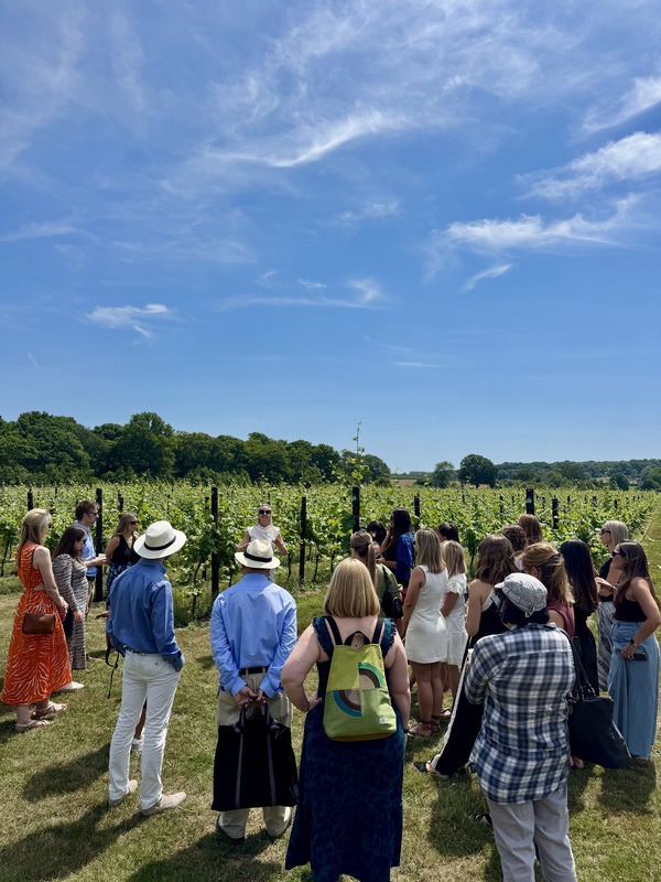 Insurance Institute of London members enjoying a corporate networking event at Balfour Winery in Kent arranged by Opulence.